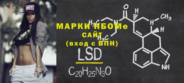 шишки Коряжма