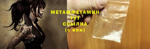 шишки Коряжма