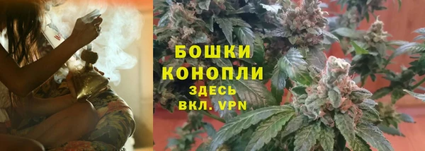 шишки Коряжма