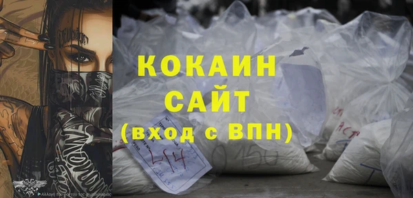 шишки Коряжма